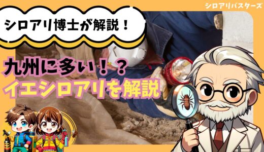 イエシロアリとは？生態と被害状況を徹底調査